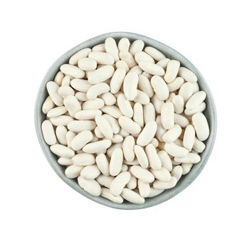Food Industry Quality White Kidney Beans Bulk Shipment Premium Dried White Kidney Beans High Nutrition Global Wholesale - THE GREEN INTERNATIONAL LIMITED - Tanzania