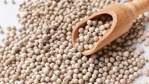 Premium Quality White Pepper – Whole & Ground Export Grade Grade A Packaging Bag Density 600–650 G/l Piperine Content ≥ 4% - TRADE NEPAL LLC - United States