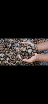 Agriculture, Food & Beverage – product photo, Main Products