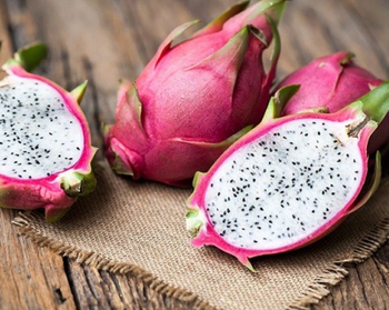 Dragon Fruit - Veltrivo Exports & Imports - India