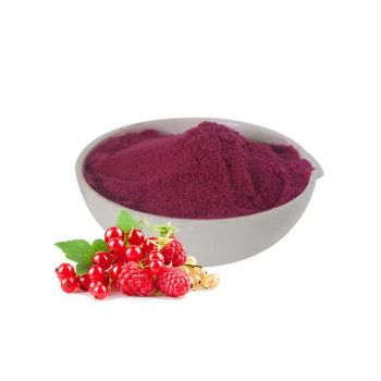 Free Sample Natural Freeze-Dried Super Berry Juice Fruit Powder - Shaanxi Hongkang Biological Technology Co., Ltd. - China