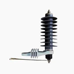 Electrical Equipment Housed Polymer Lightning 10kv Gapless Arrester - Yueqing Junxuan Electric Co., Ltd. - China