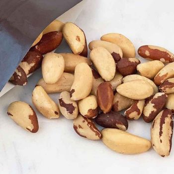 Brazil Nuts Premium Whole Nut Selection For Food Ingredient Sourcing Retail Packaging And Export Distribution - TOSOH INTERNATIONAL - South Africa