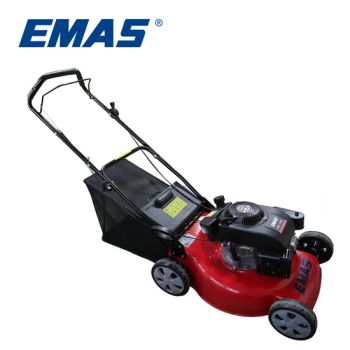 Wholesale New Self-Propelled Petrol Lawn Mower Hand Push Rear Gasoline Lawn Mower - Taizhou Emas Machine Co., Ltd. - China