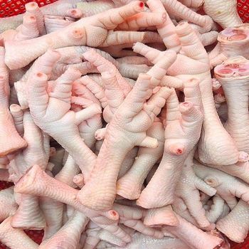 Fresh Chicken Halal Frozen Chicken For Good Price Export Frozen Chicken Feet available - TRADECENTRIC LLC - United States