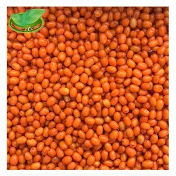 IQF fresh frozen wild sea buckthorn top class sea-buckthorn lingonberry raspberry, blueberry mixed berries - Qingdao Beswor Imp. & Exp. Co., Ltd. - China