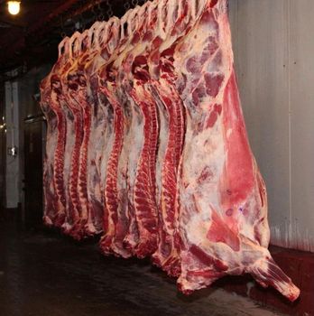Wholesale Bulk Frozen Halal Beef Meat Supplier - Mutlu Et Mustafa - France