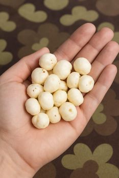 FOX NUTS (MAKHANA) - Hi-tech feed & agro - India