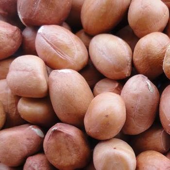 Ground Nuts - Lawana and Sons Supplies - South Africa