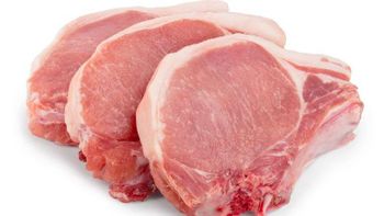 Wholesale High Quality Products Mussels Supply Poultry Meat Sale Pig Frozen Pork Shoulder - Carla Pisselli Commercio - Brazil
