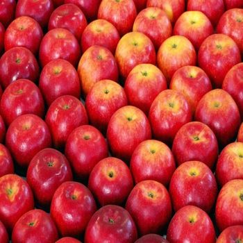 Fresh Apples - SOURCE GLOBAL TRADING GROUP - South Africa