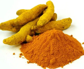 Dried Turmeric Finger / Powder Origin India Shelf Life Excellent Curcumin Content High Place of Origin india Aroma Strong Natural Aroma - RAJMUDRA WORLDWIDE CONNECT - India