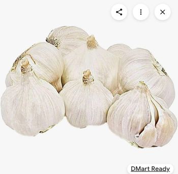 Fresh garlic - Zeenatecport - India