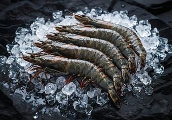 Frozen Black Tiger Shrimp / Black Tiger Prawn from Hup Sun Marine Products Frozen Black Tiger Shrimp / Black Tiger Prawn - Hup Sun Marine Products - Malaysia