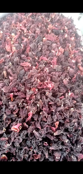 Dried Hibiscus flower - Tagrow Multi Ventures ltd - Nigeria