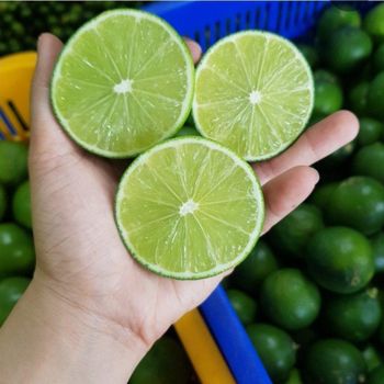 Lime - Emilysale Ltd - Thailand