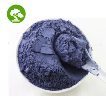 High Quality 450 Mesh Butterfly Pea Flower Tea Powder - Shaanxi Haibo Biological Technology Co., Ltd - China