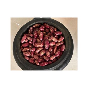 Sugar beans available in bulk for global food distributors and importers - HIGHPROFILE AGRICULTURE SERVICES LIMITED - Tanzania