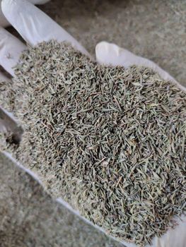 Thyme Leaves - Elite Pro - Egypt