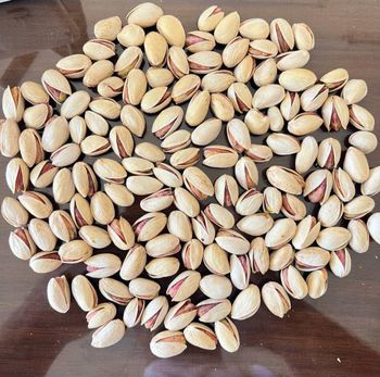 Premium Iranian Pistachios from AmiJ IraN Premium Iranian Pistachios - AmiJ IraN - Iran