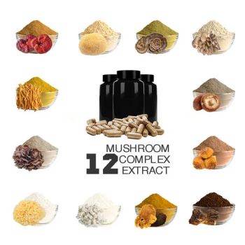 Premium Herbal Mushroom Blend: Lions Mane, Cordyceps, Reishi Extracts - Fujan Herbal Treasure Bioengineering Co., Ltd. - China