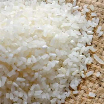 White Basmati Rice |Long Grain Rice 5% Broken From USA Supplier Wholesale OEM 100% Top Exporter 50kg 25kg Bag from AGRONOVA White Basmati Rice |Long Grain Rice 5% Broken From USA Supplier Wholesale OEM 100% Top Exporter 50kg 25kg Bag - AGRONOVA - United States