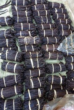 Vanilla Bean Grade Grade A Texture Fresh Length 15cm And Above Flavor Rich Aroma, Bold Flavor Sustainability Sustainably - Roki Vanilla - Uganda