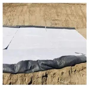 Premium Custom Geosynthetic Clay Liner for Drainage Solutions - Shandong Tianren New Materials Co., Ltd. - China