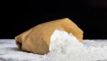 NATIVE POTATO STARCH Form Matt Powder Shelf Life 5 years Packaging 25kg, 1000kg Color White (according To Ciel Min. 93) Solubility Insoluble In Water And Ethanol - Key Food Support - Poland