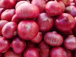 Exporter and Supplier of Fresh Red Onion, Fresh White Onions from Smart Agri GmbH Exporter and Supplier of Fresh Red Onion, Fresh White Onions - Smart Agri GmbH - Germany
