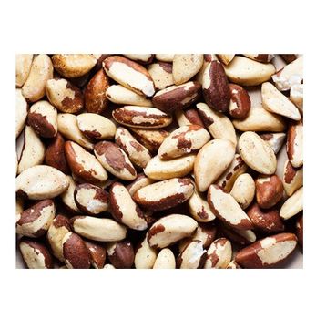 Best Price Of Raw Dried Brazil Nuts At Low Prices -  CALIPSO POLSKA SP Z OO  - Poland