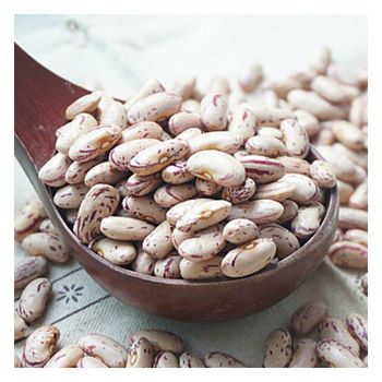 Sugar beans available for international food service and distribution - HIGHPROFILE AGRICULTURE SERVICES LIMITED - Tanzania