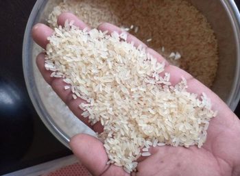 Parboiled Rice Moisture Content Max 14% Broken Rice Percentage - Naavira Exim - India