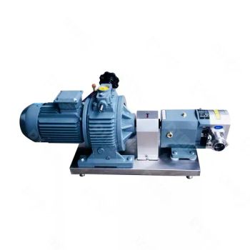 Zb3a-36 4kw 316ss Sanitary Stainless Steel Food Grade Lobe Pumps - DEYI Equipment Industries Limited - China