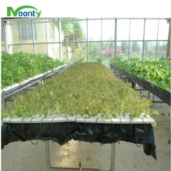 High Quality Agriculture Dwc Hydroponics System Deep Water Culture - Xiamen Heseng Agricultural Technology Co.,Ltd - China
