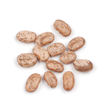 Quality Pinto Beans Clean Natural Dried Beans For Cooking And Food Use Buy Fast Delivery Premium Quality Wholesale Naturally Suitable For Home And Industry - wood traders - Poland