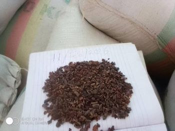 Cocoa nibs Origin Nigeria - Mese investment ltd - Nigeria