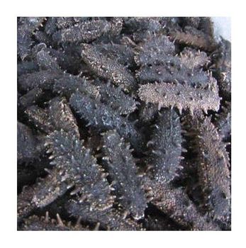 High Quality Black Color Dried Sea Cucumbers Available For Sale At Low Price  -  CALIPSO POLSKA SP Z OO  - Poland