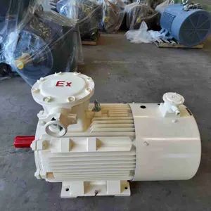 Explosion Proof Electric Motors Suitable for Ports, Machinery Industry and Other Fields - Hebei Xiangli Motor Manufacturing Co., Ltd - China