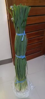 Lemon Grass Harvest Size More Than 5 Tons Farm Size 2,500 Square Meters Distribution Method Within Local Municipality Farm Expansion Plan Up To 5,000 Square Meters - Galut Farmyard - Philippines