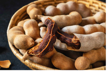 Tamarind - seedless Origin India Texture Soft Product Type Spices Color Dark Brown Or Reddish Moisture Content Max 8.00% To 20% - Fortune EXIM & General Tradings - United Arab Emirates