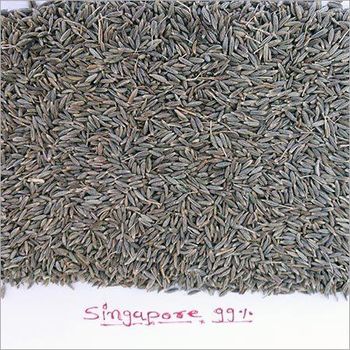 cumin seeds singapore 99% Delivery Form Bag Features Vegetarian - Parth - India