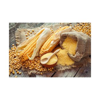 Corn starch maize flour offered for wide scale trade with fast order handling - AMAC GOLD AND DIAMOND METALS SUPPLIER - Germany