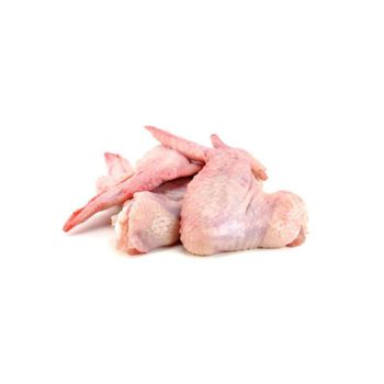 Processed frozen chicken wings supplied for restaurants hotels and catering services - MASI TRADING GMBH - Germany