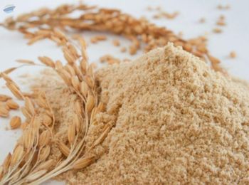 Organic Rice Bran -  BS International  - India