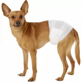 Disposable Pet Diaper Dog Diaper Cheap Good Quality Pet Product - Guangdong Lechen Sanitary Products Co., Ltd. - China