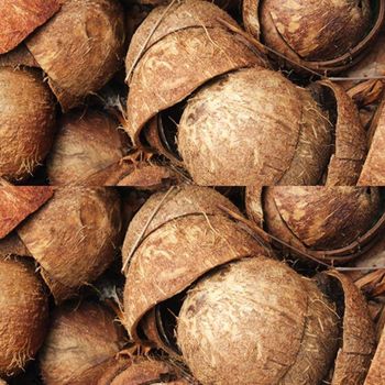 HOT SELLING Coconut Shell Raw Material for Charcoal Production and Carbon Processing Clean Source Stable Supply - CPW TRADE LTD - United Kingdom
