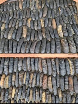 Dried Sea Cucumber Length Range 15cm To - AFiA PNG Ltd - Papua New Guinea