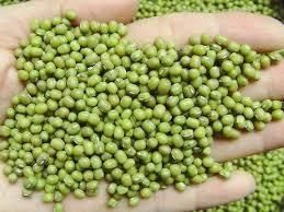 Green Mung Beans - Growlentis Enterprise Limited - Kenya