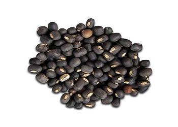 High quality black gram bulk supply factory price fast delivery - Mundus Exports Pty Ltd - South Africa
